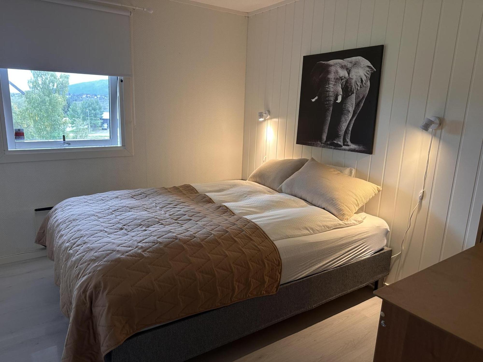Studio Apartment In The Center Of Alta Eksteriør billede